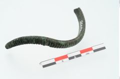 Foto von Bronzearmreif (NHMW-PRAE-026052)